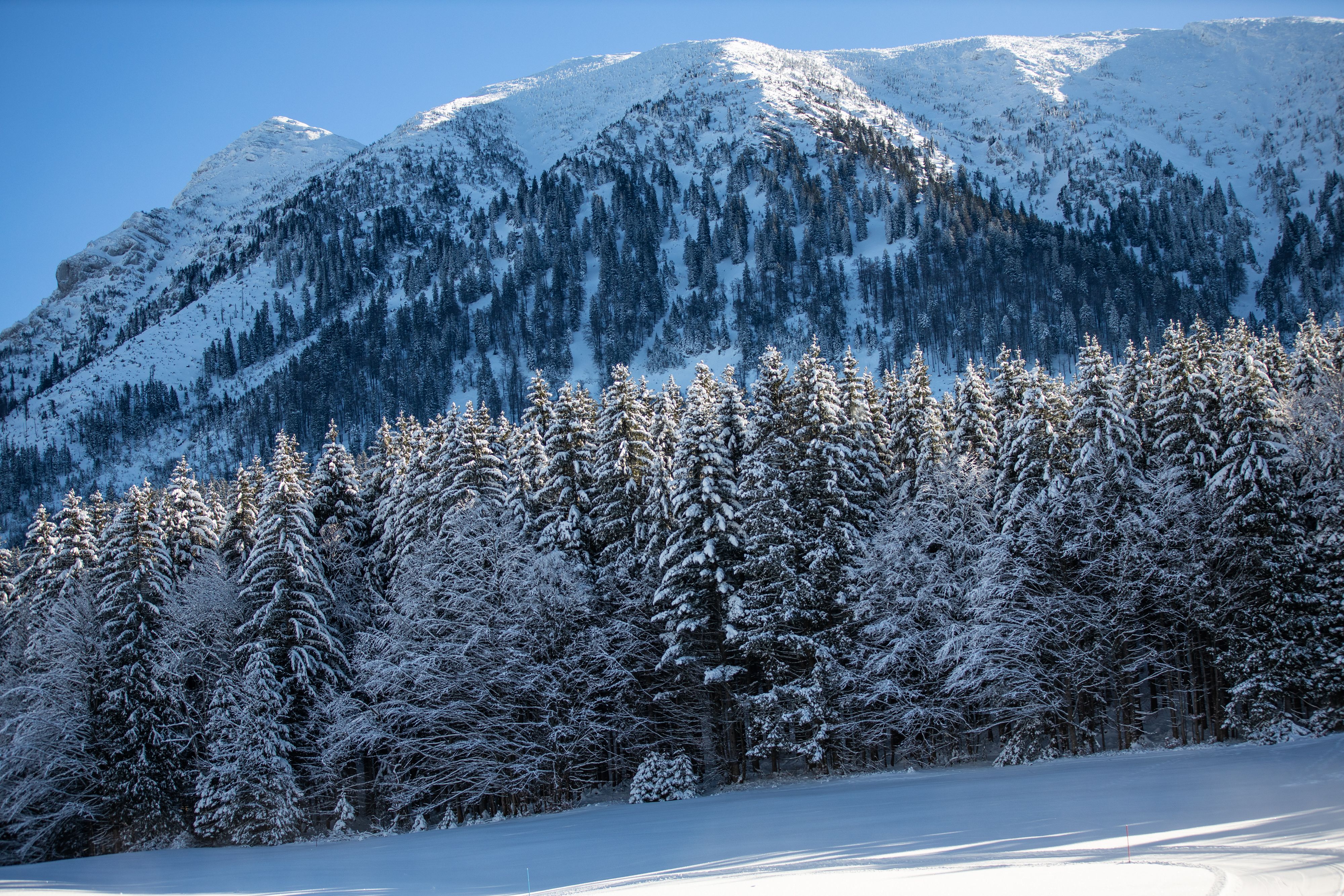 Winterwetter Ötscher