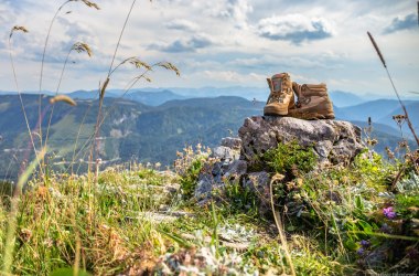 Hiking shoes