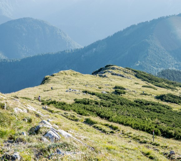 Bergsommer am &Ouml;tscher, &copy; Ludwig Fahrnberger