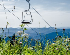 Doppelsessellift Gro&szlig;er &Ouml;tscher, &copy; Ludwig Fahrenberger