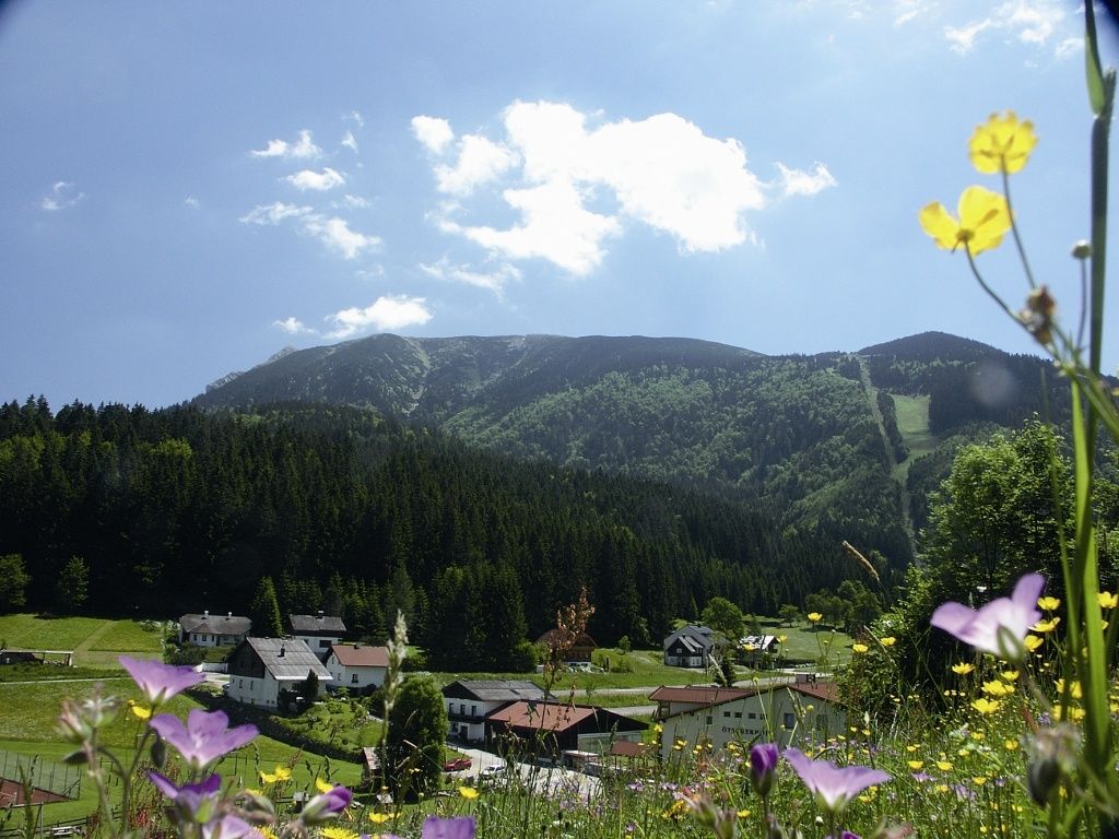 Sommer in Lackenhof am Ötscher