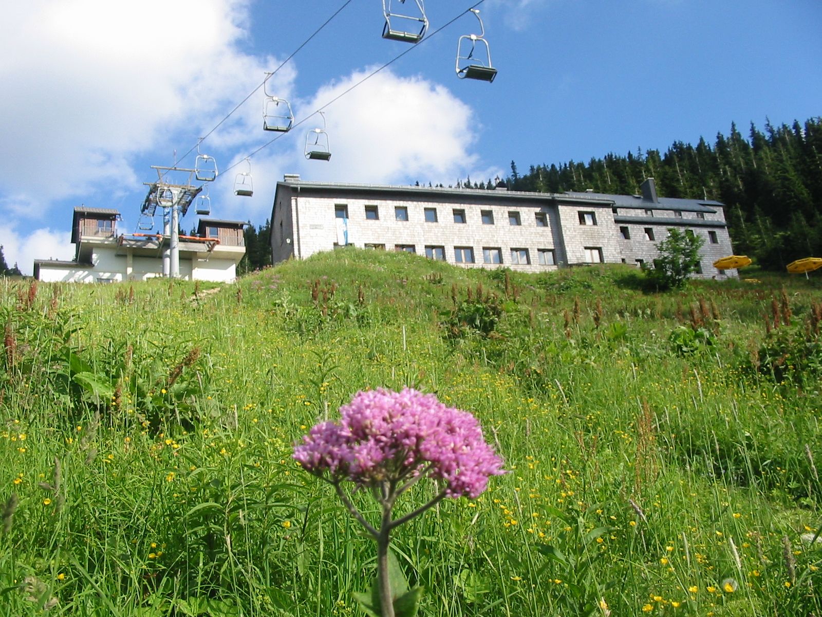 Ötscherschutzhaus im Sommer