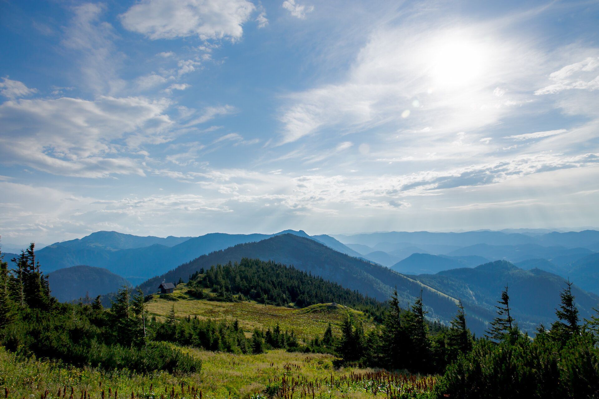 Die sanften Hügel und majestätischen Gipfel des Ötschers laden zu unvergesslichen Wanderungen ein. Hier, wo die Natur in voller Blüte steht, entfaltet sich der Sommer in seiner schönsten Form und bietet atemberaubende Panoramen, die das Herz jedes Naturfreundes höher schlagen lassen.