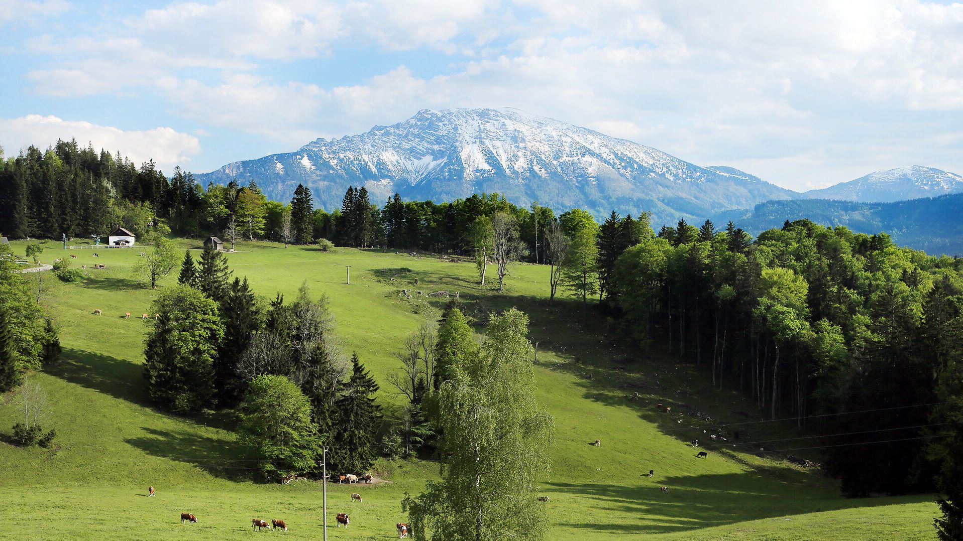 Die sanften Hügel und die majestätischen Berge laden zu unvergesslichen Erlebnissen in der Natur ein. Frisches Grün und blühende Wiesen schaffen eine harmonische Kulisse, während die Kühe friedlich grasen. Hier, im Frühling, entfaltet sich die Schönheit der Landschaft in voller Pracht.