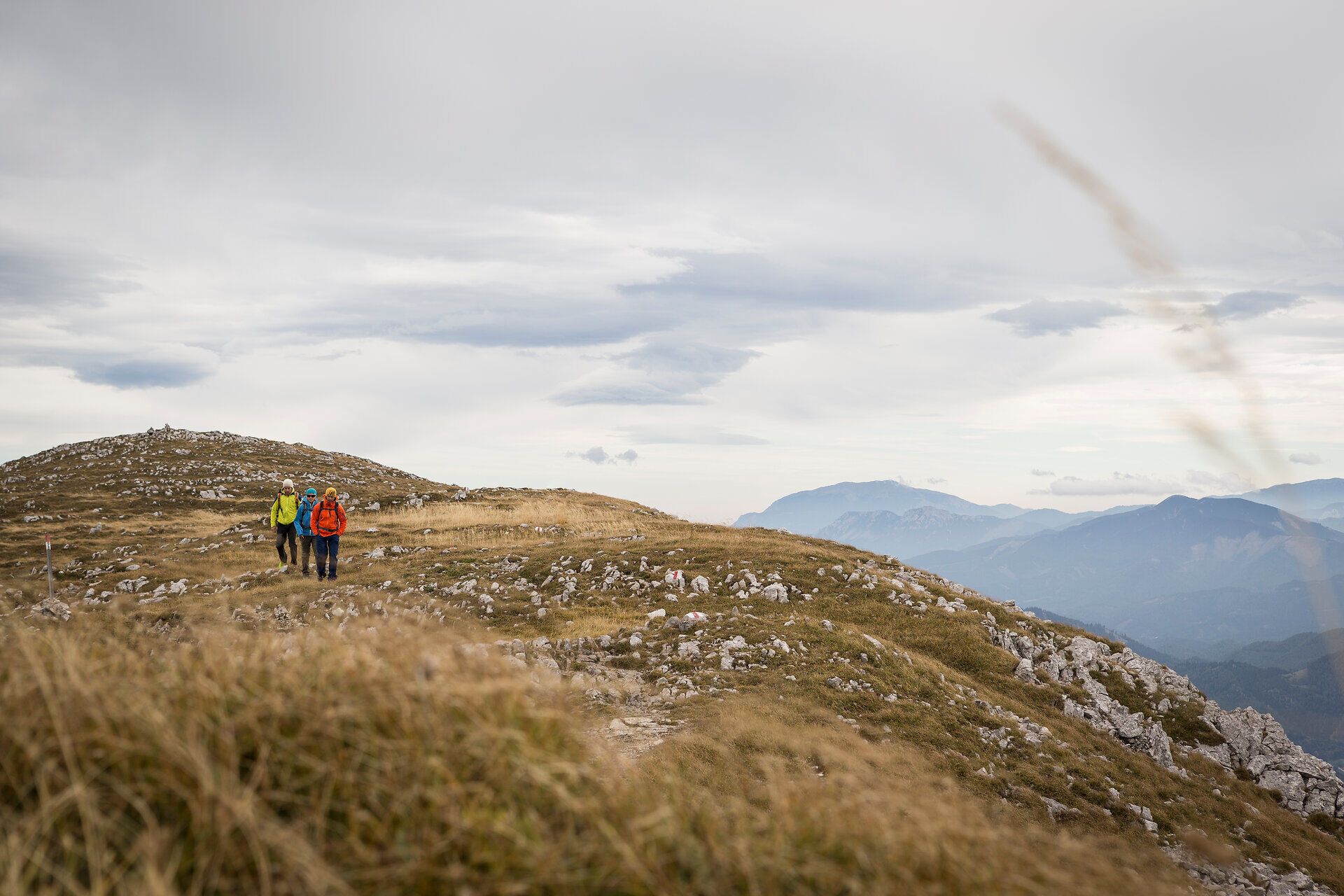 Die Wanderer genießen die frische Bergluft und die atemberaubende Aussicht auf die sanften Hügel und schroffen Gipfel. Umgeben von einer malerischen Landschaft, in der das goldene Gras sanft im Wind wiegt, lädt die Natur zu unvergesslichen Erlebnissen ein.