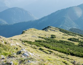 Bergsommer am &Ouml;tscher, &copy; Ludwig Fahrnberger