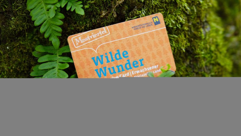 Wilde Wunder Card , © weinfranz.at