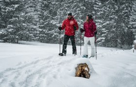 Schneeschuhwandern, © Gerald Demolsky