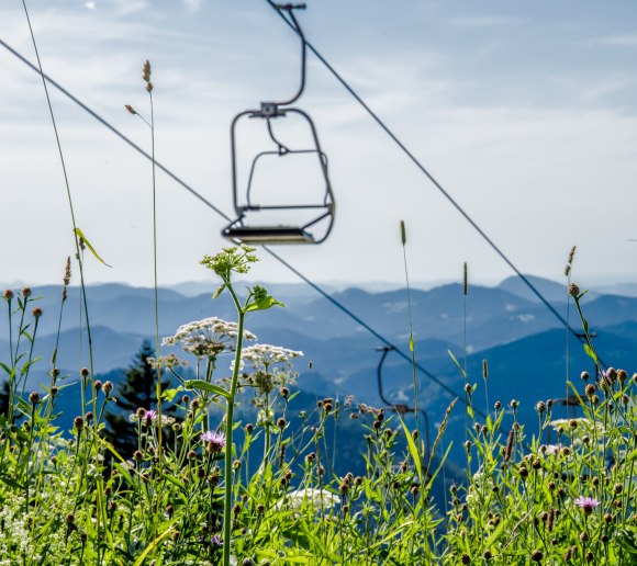 Doppelsessellift Großer Ötscher, © Ludwig Fahrenberger