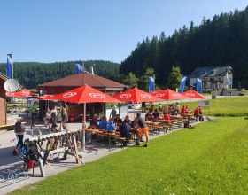 Wald-Mostviertelcup