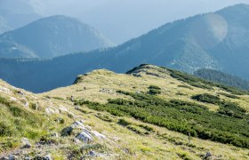 Bergsommer am Ötscher, © Ludwig Fahrnberger