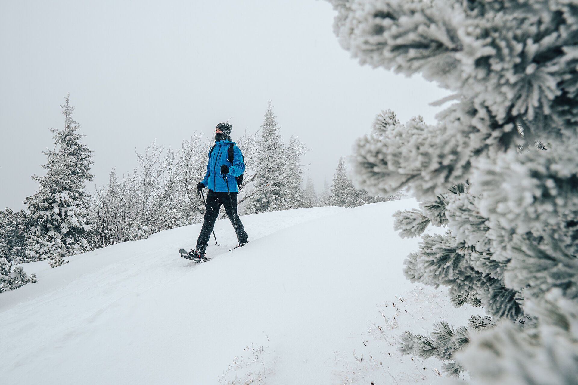 Inmitten einer winterlichen Traumlandschaft wandert ein Schneeschuhwanderer durch den glitzernden Schnee, umgeben von schneebedeckten Tannen. Die frische, kalte Luft und die Stille der Natur schaffen eine friedliche Atmosphäre, die zum Verweilen einlädt.