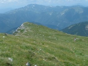 Weg zum &Ouml;tscherschutzhaus, &copy; &Ouml;TV