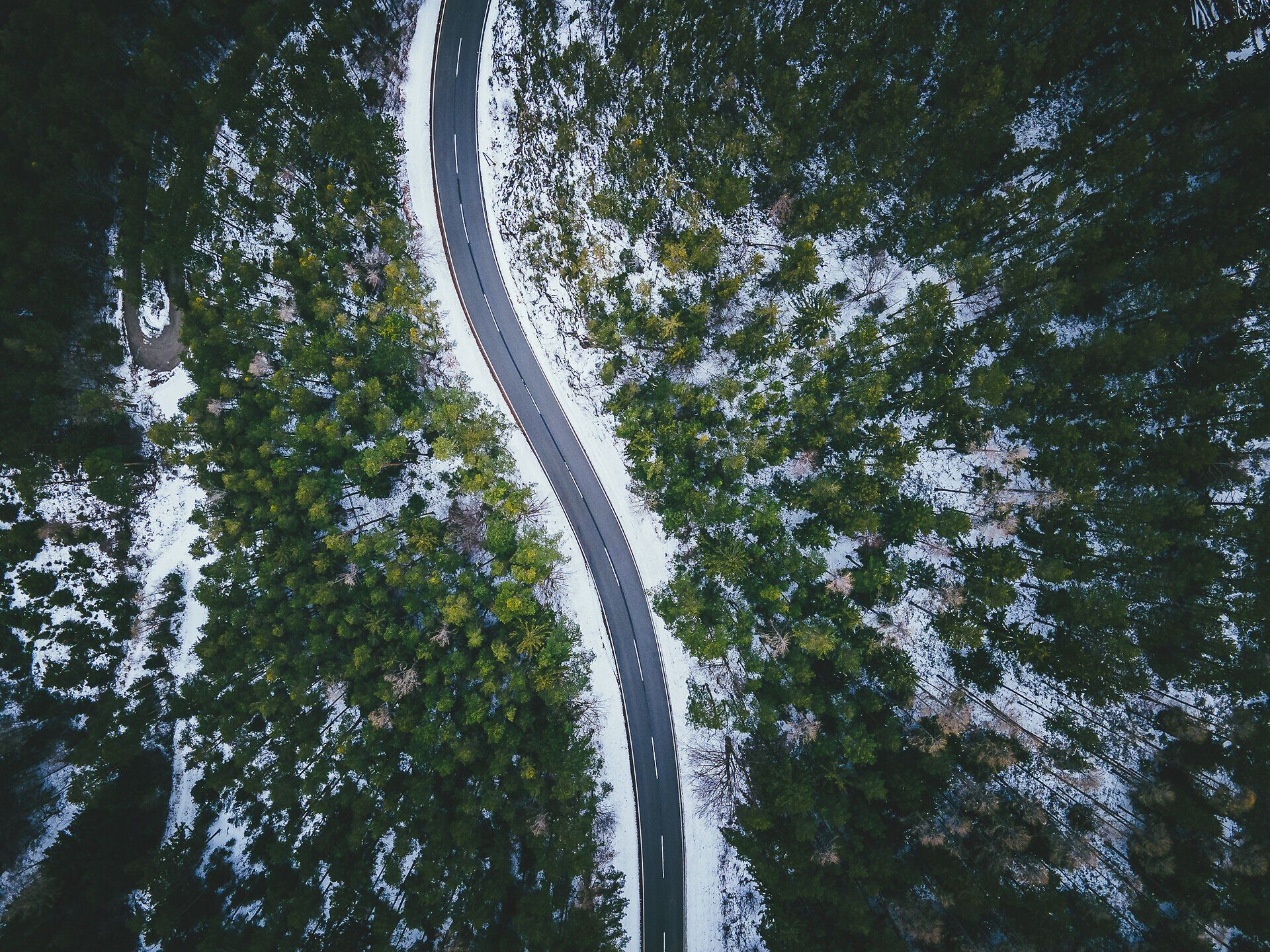 Die sanften Kurven der Straße schlängeln sich durch eine winterliche Landschaft, in der schneebedeckte Tannenbäume eine malerische Kulisse bieten. Hier, in den Wiener Alpen, entfaltet sich die Ruhe der Natur und lädt zu unvergesslichen Erlebnissen im Schnee ein.