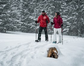 Schneeschuhwandern, © Gerald Demolsky